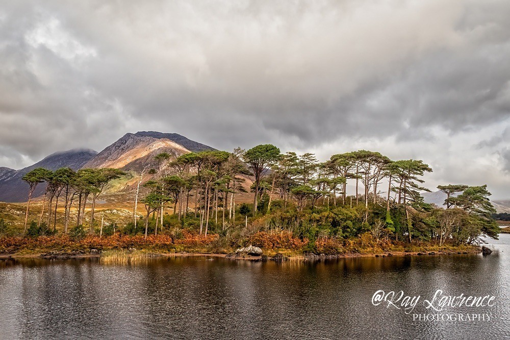 Dublin  Wild Atlantic Way_RLP699303b - Landscape Fine Art
