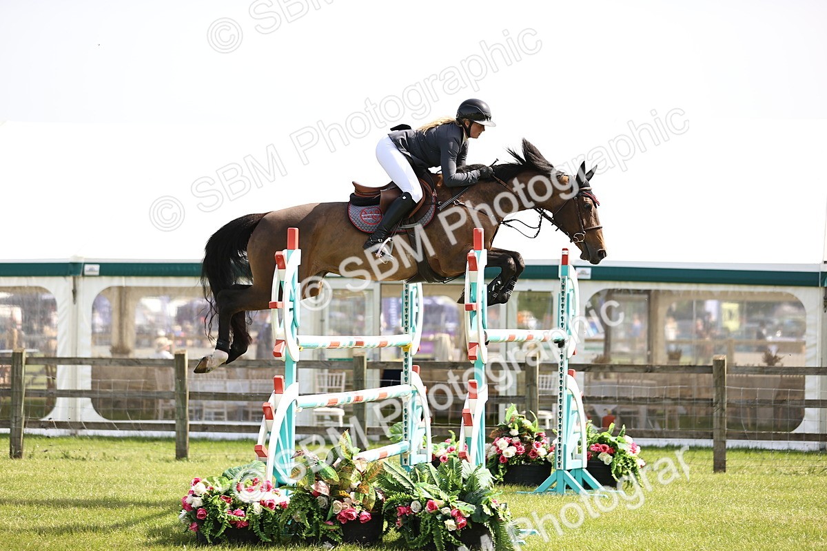 SBM_02957 - Class 201 - British Horse Feedds Speedi Beet HOYS Grade C