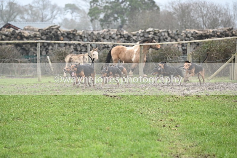 WJ6_5878 - Camera A