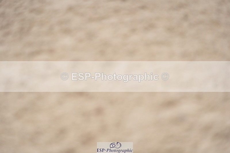 230924A-132950-06180 - 90 SJ Start to 14.00