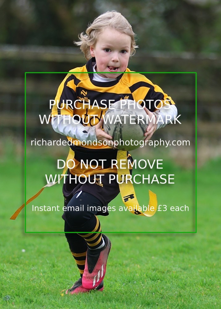 533A4943 - Kendal Rugby Under 7's (12/4/26)