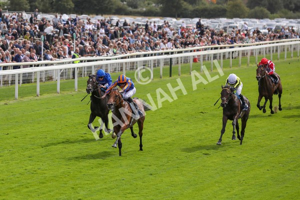 210824-Race 2-The Lion In Winter-7205 - Race 2 2.25pm Tattersalls Acomb Stakes