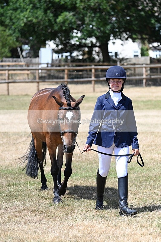 WJ7_2222 - Class 5 Most Handsome Gelding (up to 14.2hh) in hand