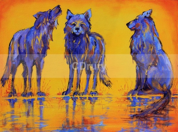 Howler SOLD - Archived