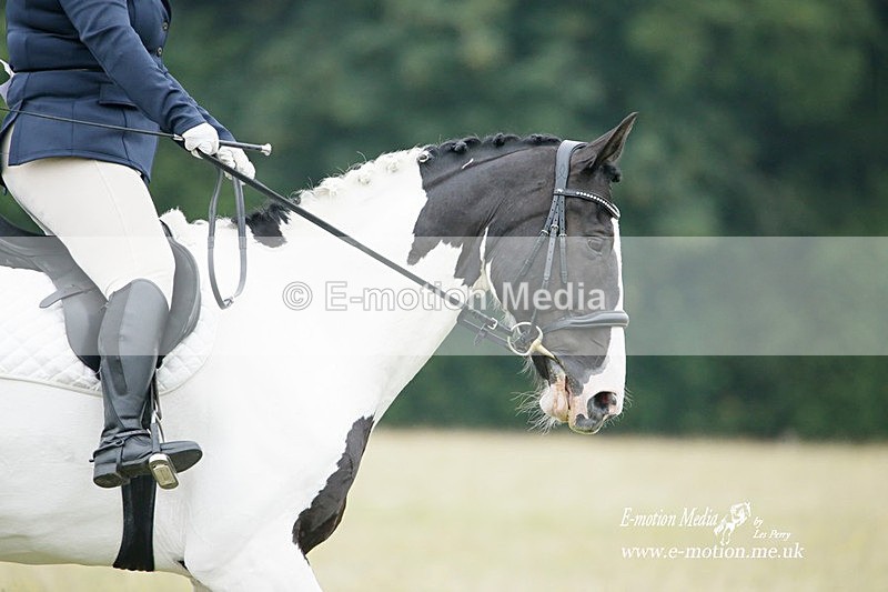 BVRC 030721 510 - Bourne Valley Riding Club Dressage 03/07/21