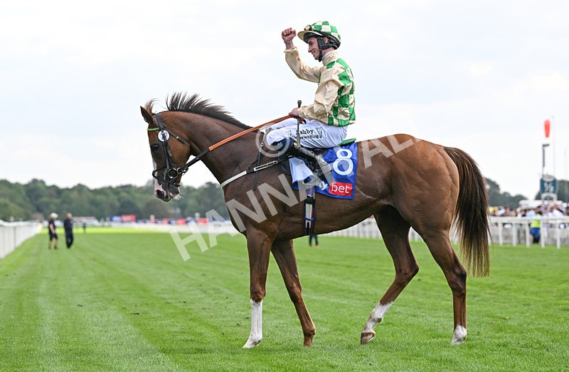 220826-153 Daiquiri Bay - Race 4 15.35pm Sky Bet Ebor Handicap