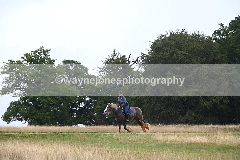 DSC_3285 - Time at Statue 12:59 to 13:49