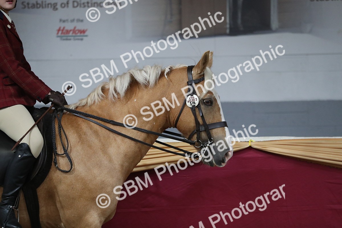 SBM_10292 - Class 102 Equitation (best rider) Adult