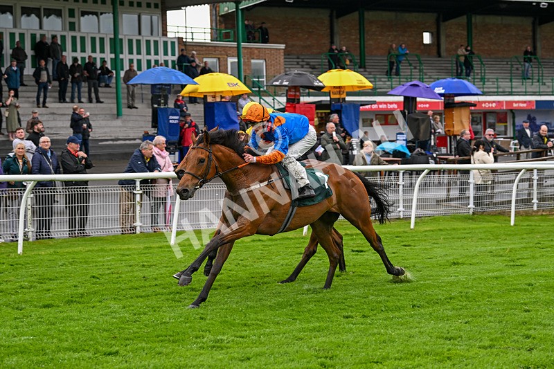 230524-Race 7-Homer Stokes-2061 - Race 7
