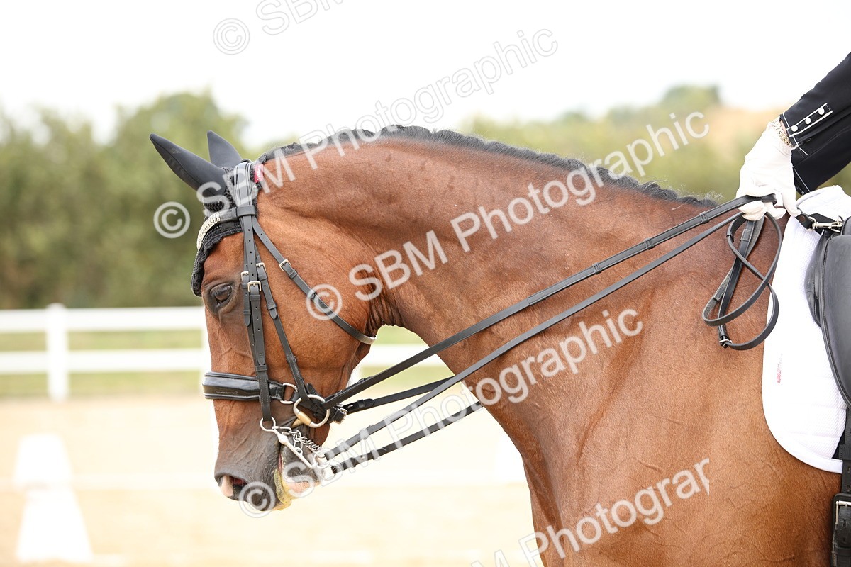 SBM_020079 - Class 25 - PSG Bronze