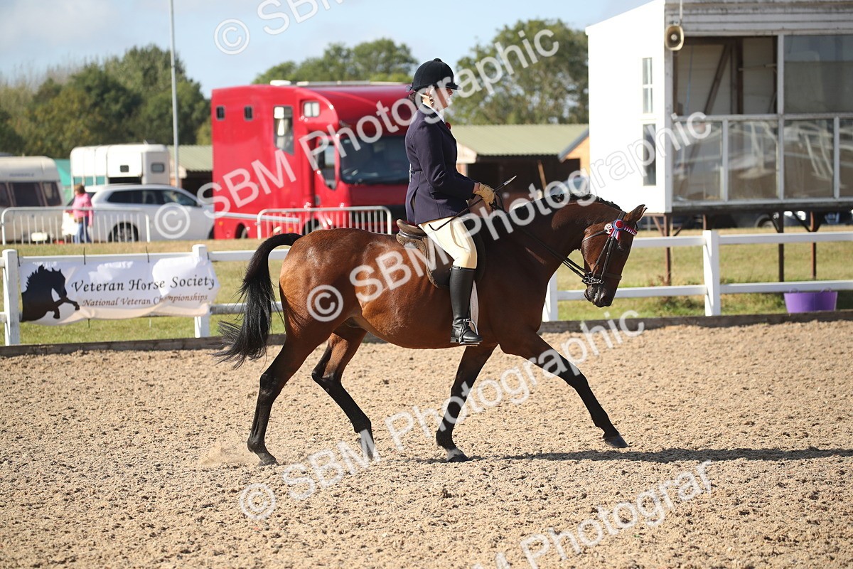 SBM_22796 - Class 602 - 2026 Area - Ridden Veteran