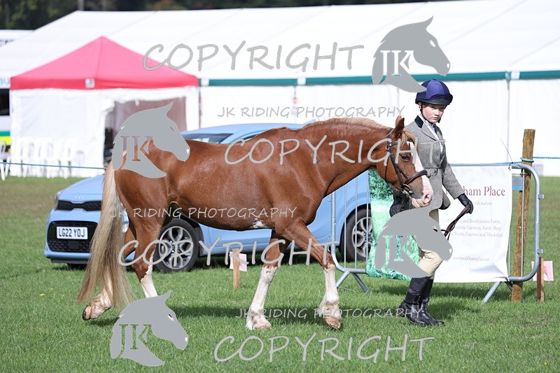 APP_2568 - Class 9 Veterans in hand