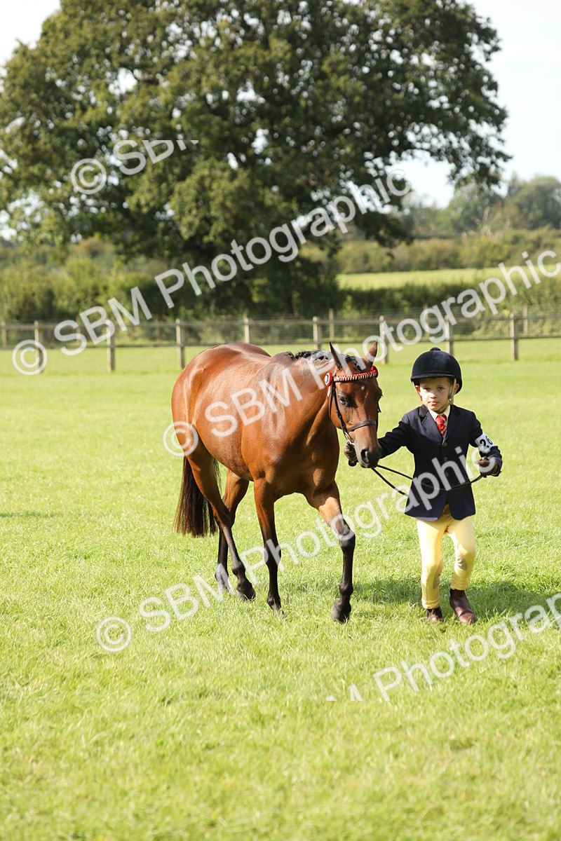 SBM_67822 - S39 - Junior Handler 8  Years & Under