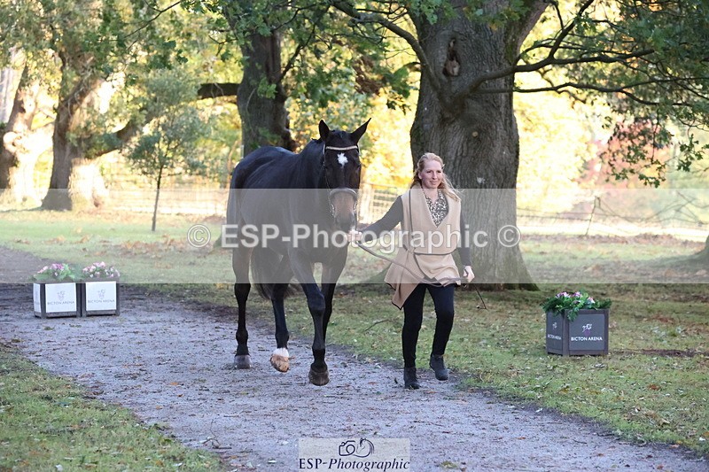 261025A-084217-24050 - D-377-Danielle.Bailey