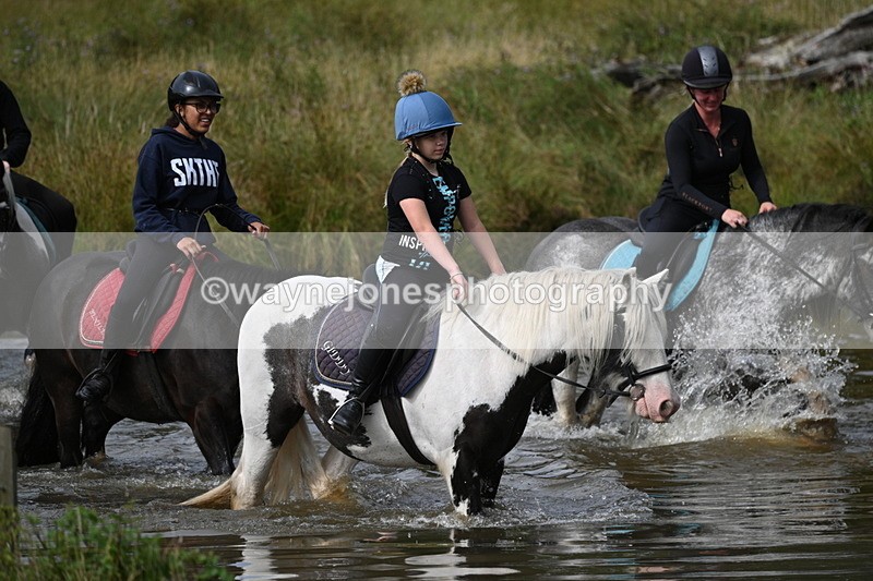 WJ7_1050 - Time at Water 10:09 to 10:47