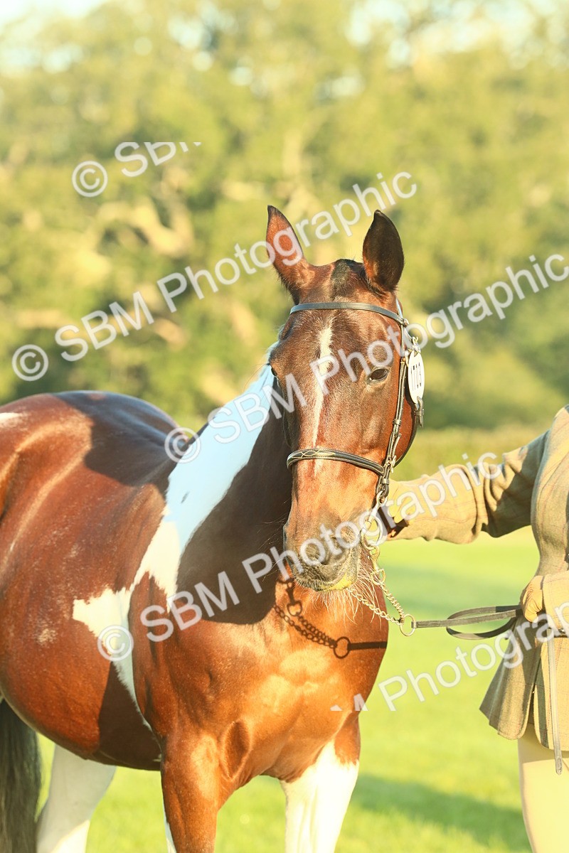 SBM_56537 - S36 - Starters Best Turnout