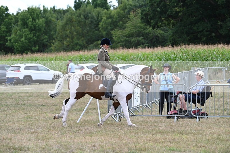 WJ7_5221 - Class 12 Ridden Cob