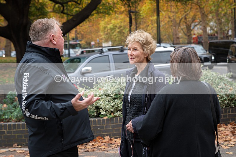 Z62_4738 - Animals In War Memorial 2025 - Park Lane, London