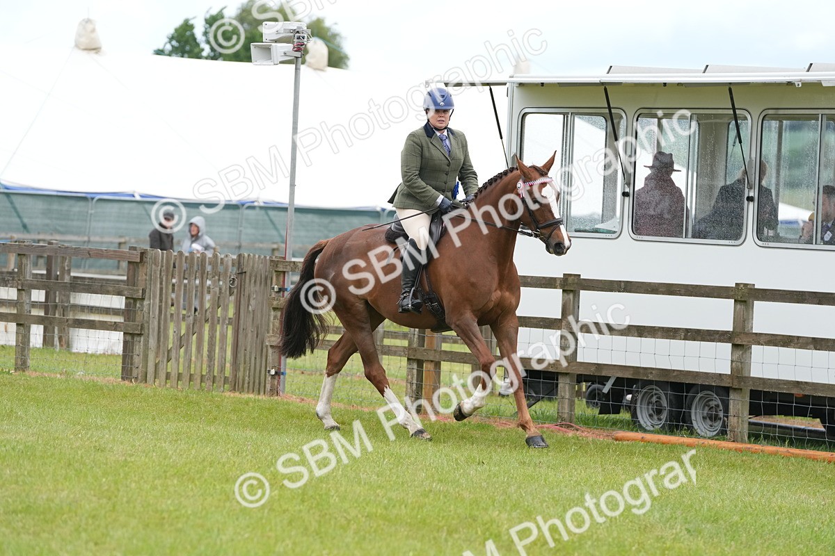 SBM_12836 - Class 97-98 - LIHS BSHA Rising Star Working Show Horse Hunter