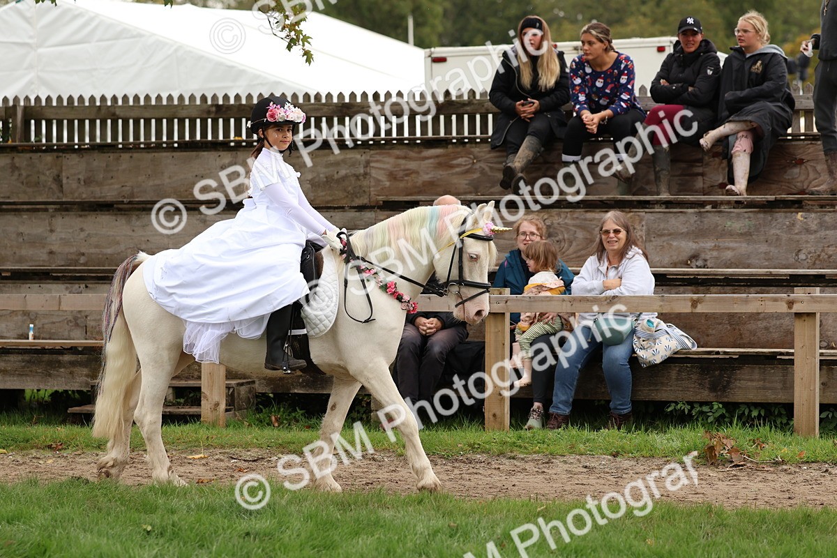 SBM_62147 - S37b - Best Unicorn