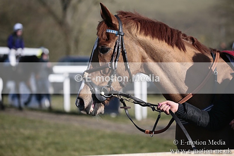 PtP 240218 307 - Vine & Craven Hunt Point-to-Point Barbury racecourse 24/02/18