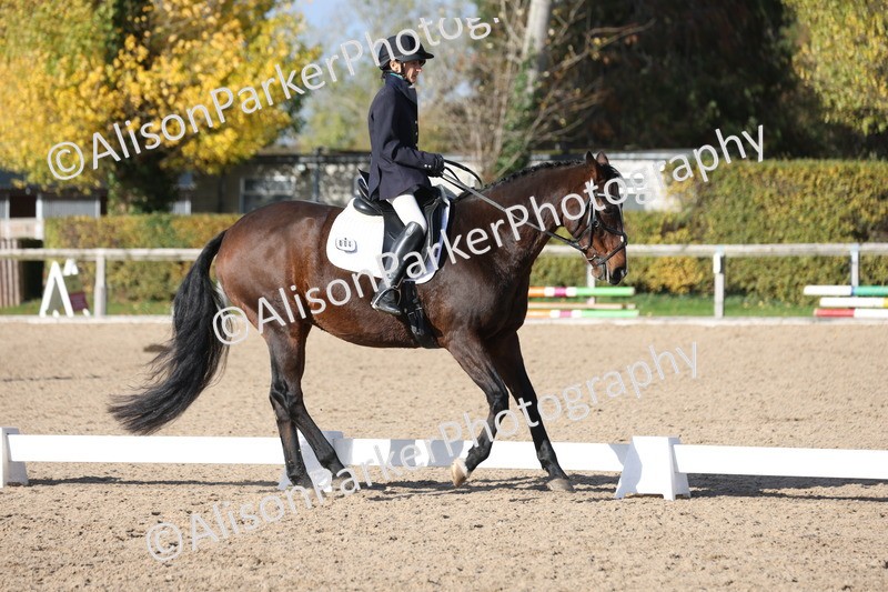 20251101-0629 - Class 5 - Novice 3