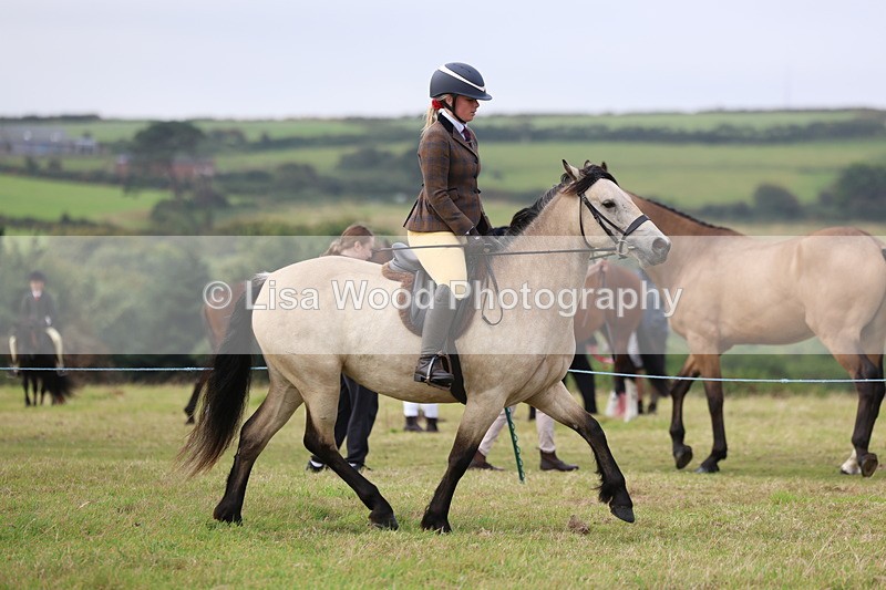 3E7A3937 - Class 4: Best Combination Open