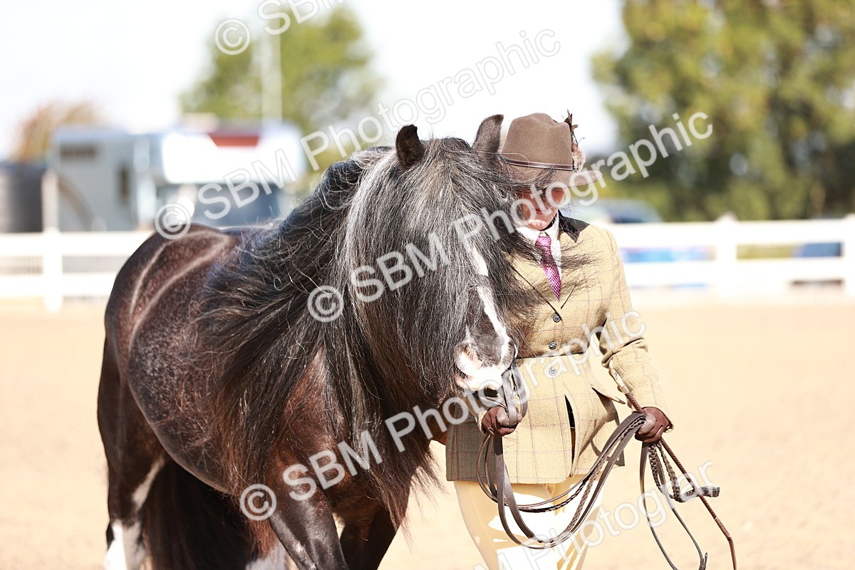 SBM_12599 - Class 404 - IH Traditional - Native Cob