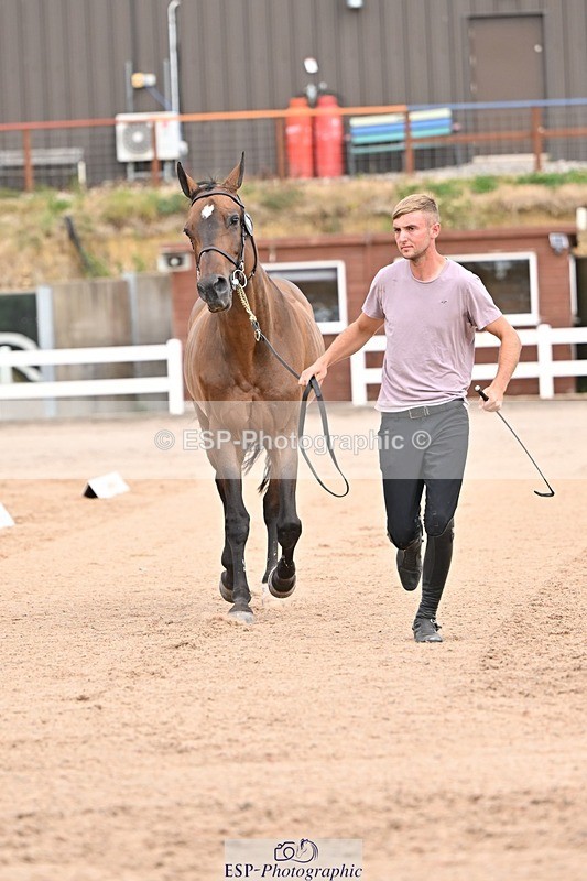 250716-150355-01601 - Trot Up 2.30 to 3.30
