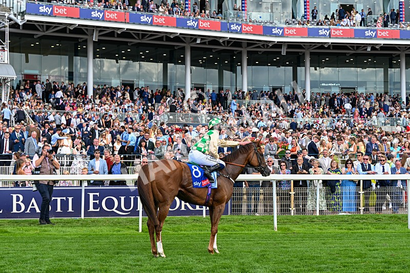 220826-Race 4-Daiquiri Bay-0647 - Race 4 15.35pm Sky Bet Ebor Handicap