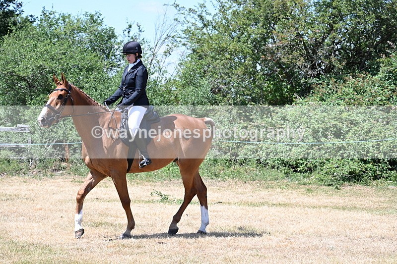 WJ7_2742 - Class 7 Riding Club Show Horse