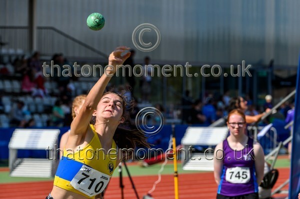 Age25SAT-926529 - Field Female Set Two