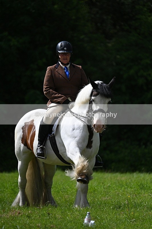 WJ7_1340 - Class 11 Condition & Turnout