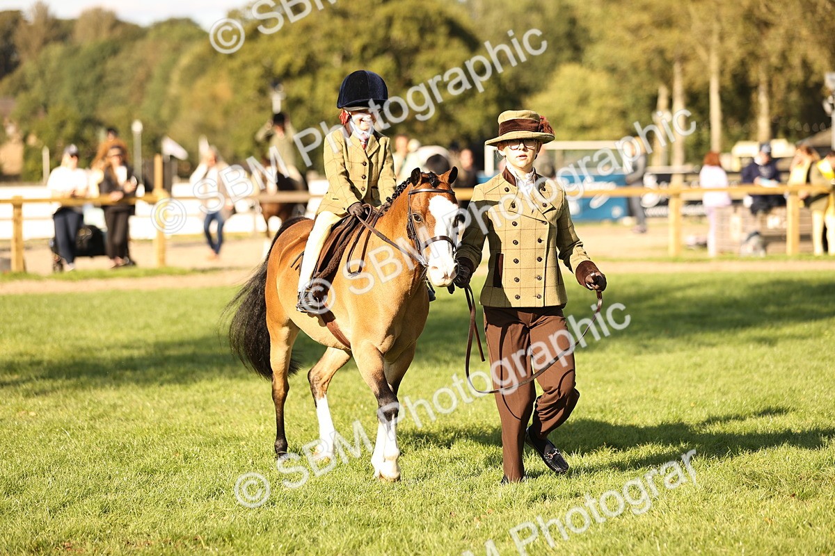 SBM_29374 - S7 - Novice & Newcomers Ridden Pony