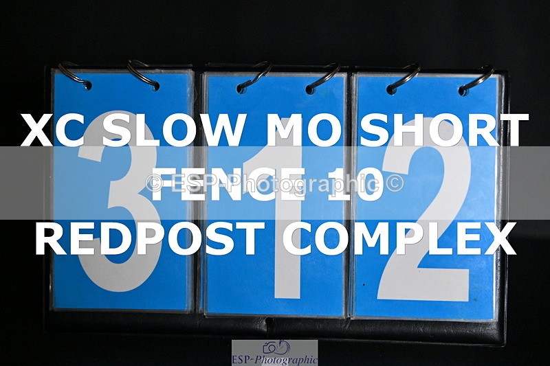 ESP_312 - D-312-Laura.Sharpe