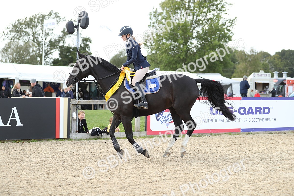 SBM_06587 - J29 - Senior Horse & Pony 65cm Championship