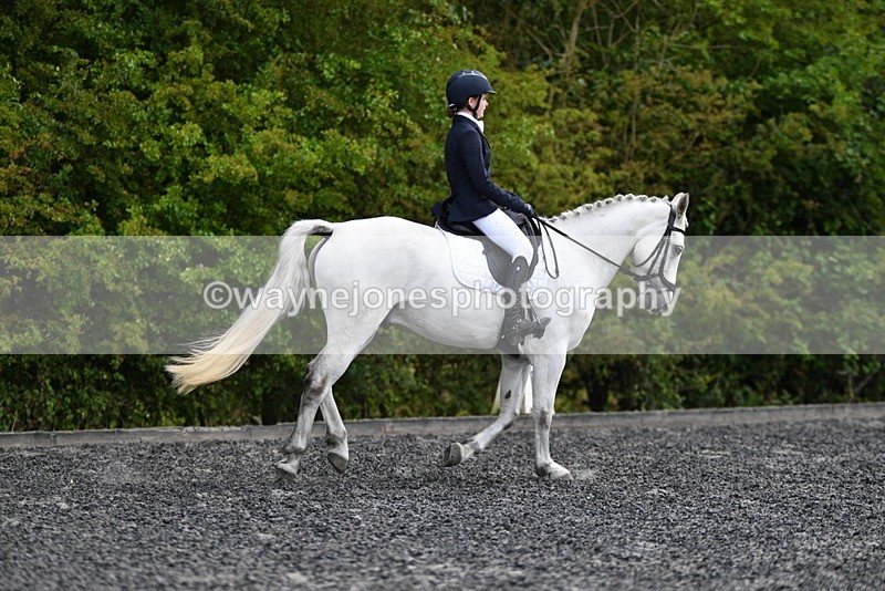 WJ5_1705 - Time 14:20 to 15:01