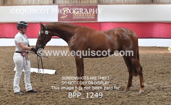 BPP_1249 - MORNING 9AM - 12PM