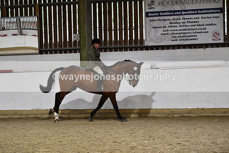 WJ5_8865 - Class 15 Ridden Show Horse