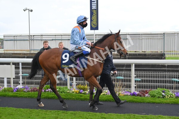 yr22052021r4-18 - Race 4 3.50pm WilliamHill.com Best Odds Guaranteed Stakes