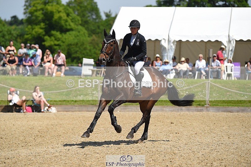 230528-112808-15220 - 353-THE_RIPPER-Bundy_Philpott-SUNTrotUp+SJ