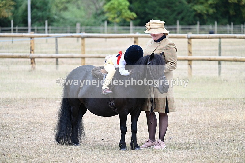 WJ7_8390 - Class 4 Prettiest Mare up to 14.2hh