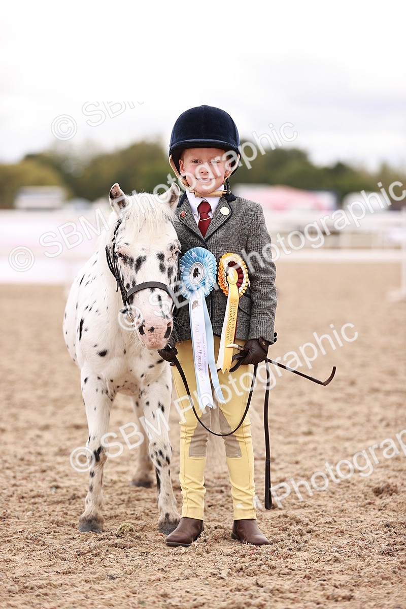 SBM_18609 - Class 421 - Childs Best Friend - Jnr