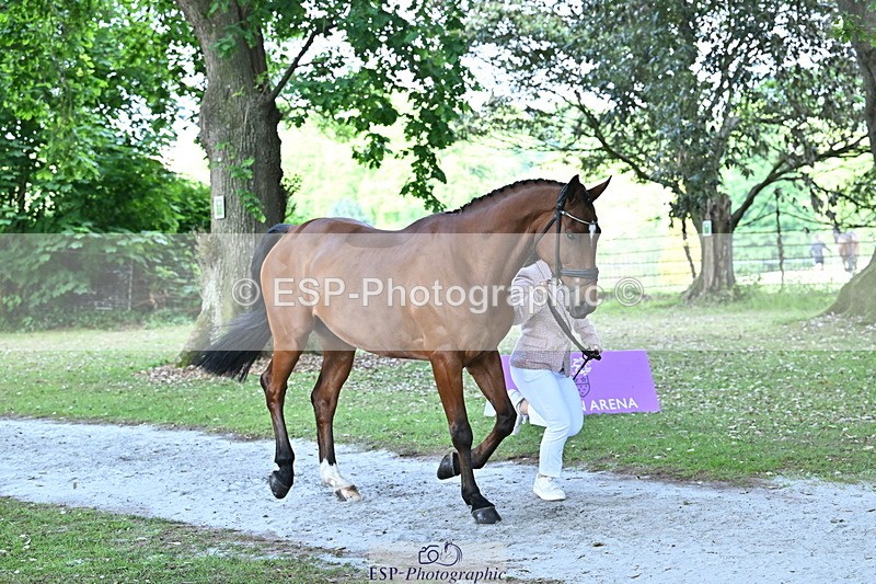 250521A-163141-01194 - C-229-Ellie.Healy-BALLADEER.JUST.FOR.KICKS