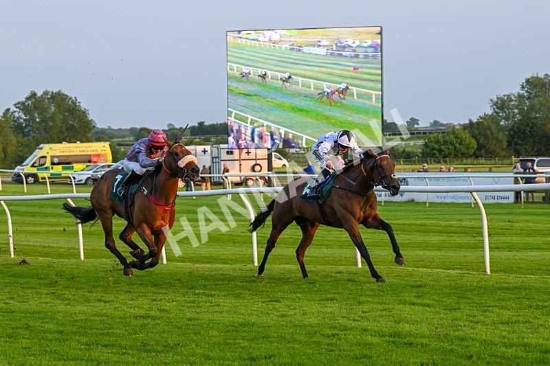 310524-Race 5-Dusk Dame-8935 - Race 5