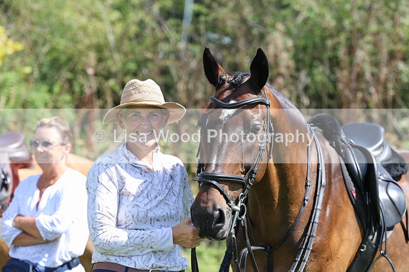 3E7A9034 - Class 6: Open Working Horse