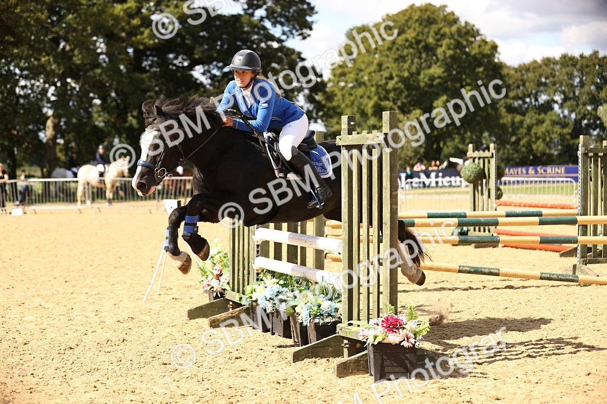 SBM_41027 - Supreme Championship - AM