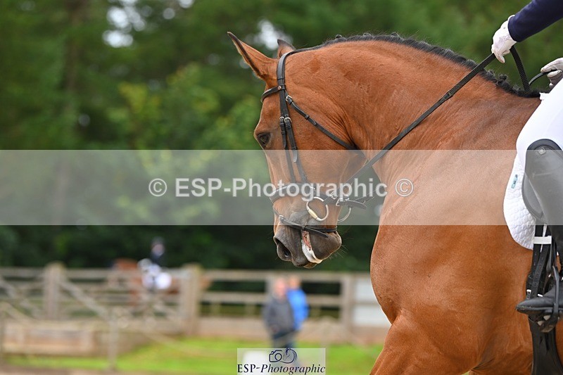 230813-091238-05794 - Cls 12 Elem Silver Start to 10.10 break