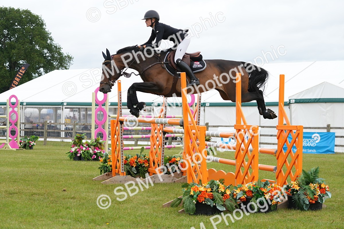 SBM_03096 - Class 201 - British Horse Feeds Speedi Beet Horse of the Year Show Grade  C