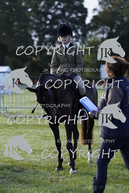 _DSC9388 - Class 8 & 17 Ridden Hunter & Ridden Hunter Pony